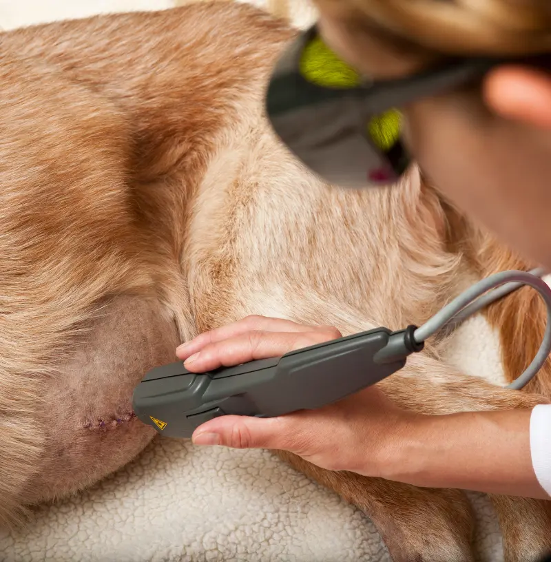 laser-therapy